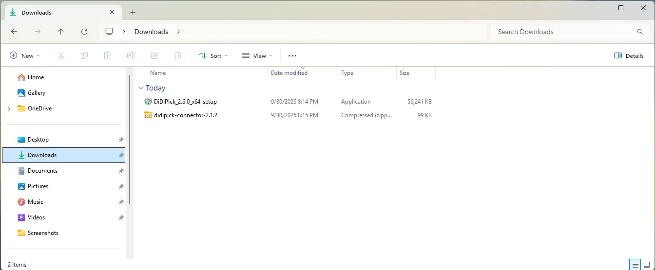 The downloaded files in Downloads
